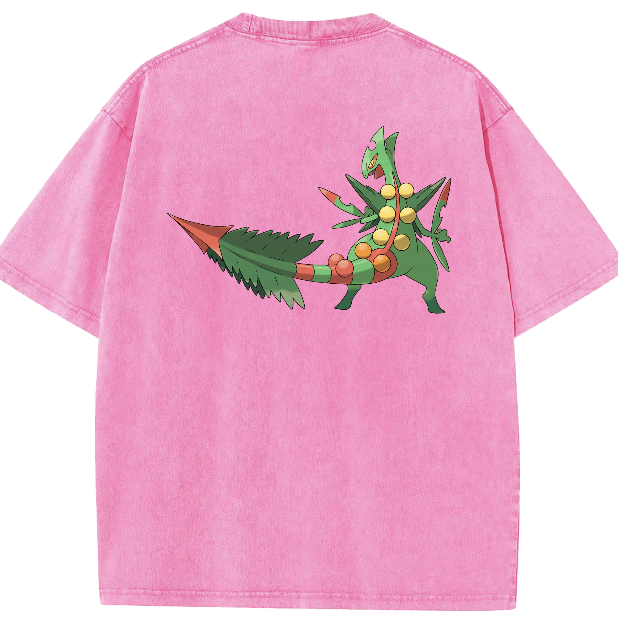 （画像用） ポケットモンスター Pokémon 綿100% ヴィンテージ風 半袖Tシャツ（背面プリント）